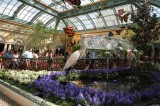 Bellagio Hotel Botanic Garden Las Vegas