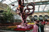 Bellagio Hotel Wedding Botanic Garden Las Vegas