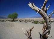 helicopter tour las vegas to Grand Canyon